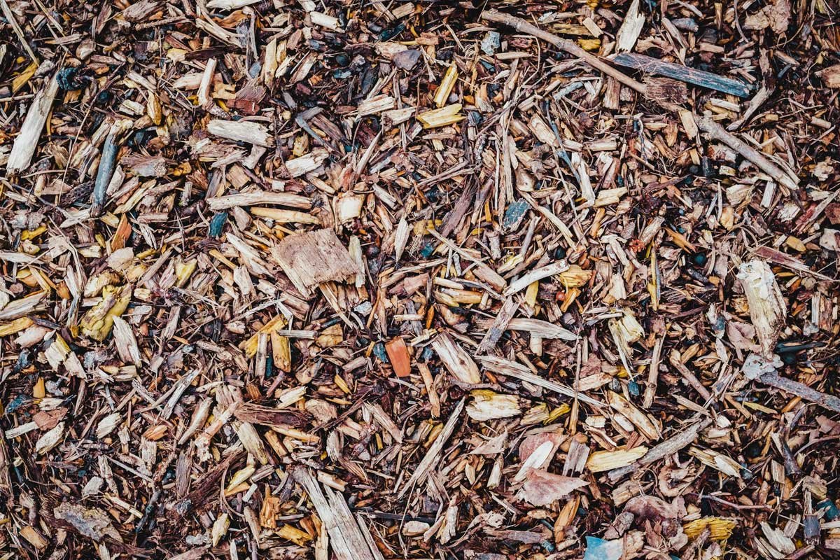 Composting Green Waste in Preston