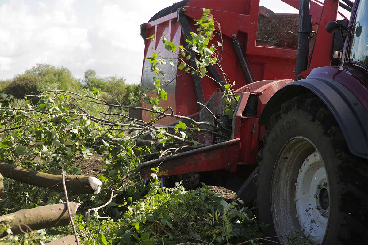 Biomass Fuel Supply